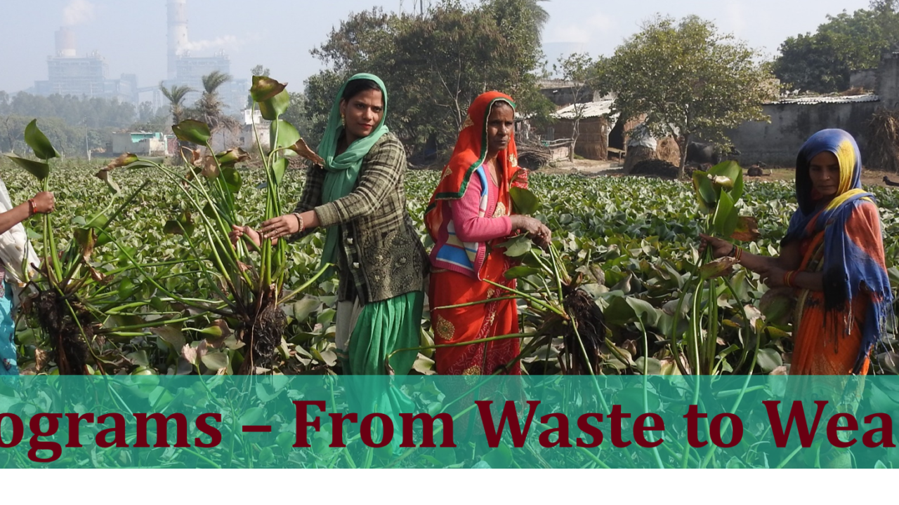 From Waste To Wealth | ECO ROOTS FOUNDATION